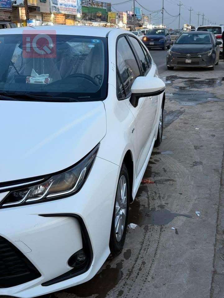 تويوتا كورولا